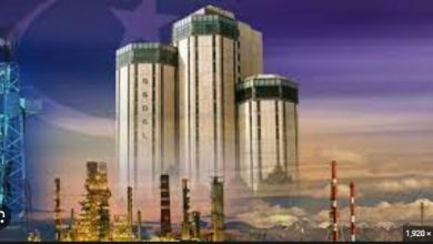 Oil and Gas Development Corporation