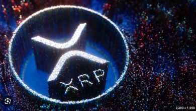 XRP---an Emerging Cryptocurrency