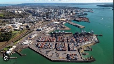New Zealand's Exports contracted in August 2024