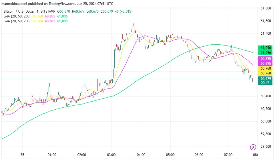 Bitcoin 25th June 2024