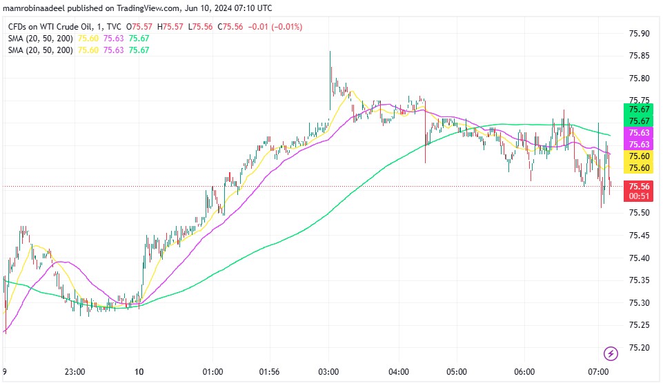 WTI Crude Oil کی قدر میں بحالی ، OPEC Plus کا اجلاس اور Geopolitical Conflicts