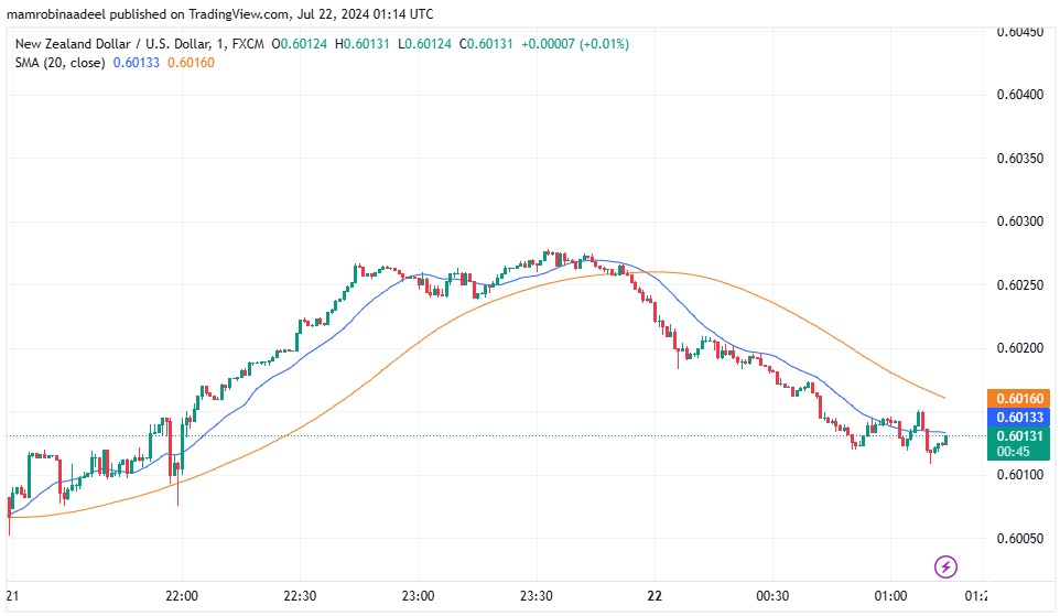 NZDUSD کی قدر میں بحالی ، NZ Trade Surplus میں نمایاں اضافہ.