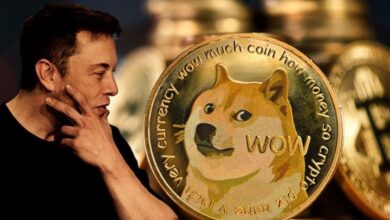 Elon Musk and DOGE