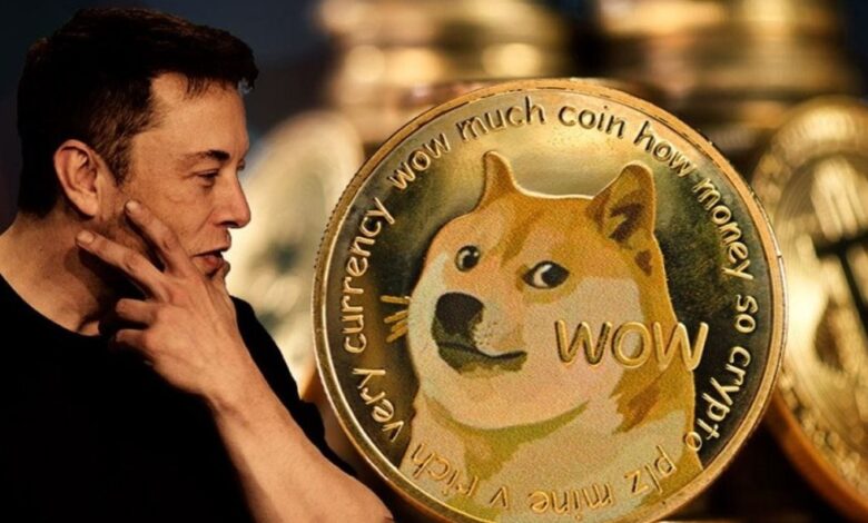 Elon Musk and DOGE