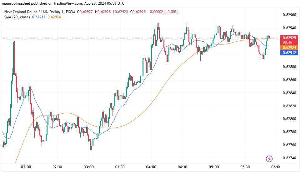 NZDUSD 29TH August 2024