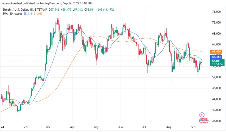 Bitcoin Price 12th September 2024