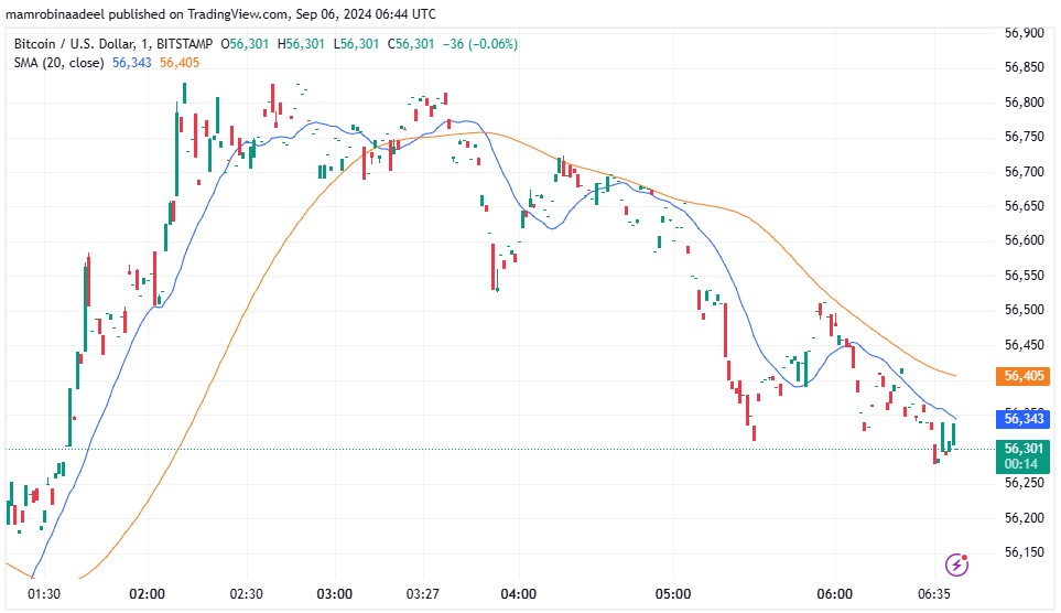 Bitcoin Price 6th September 2024