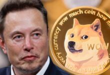 Dogecoin and Elon Musk