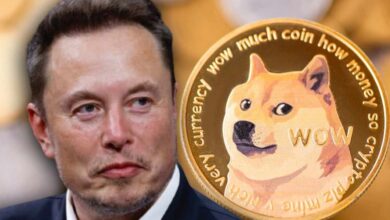 Dogecoin and Elon Musk