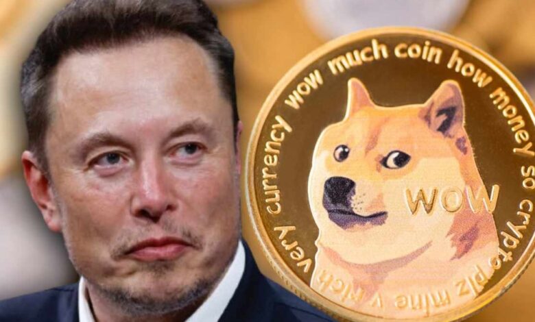 Dogecoin and Elon Musk