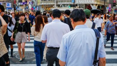 Japanese Elections