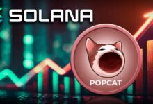 Cat Coin Extended to Solana Block Chain