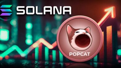 Cat Coin Extended to Solana Block Chain