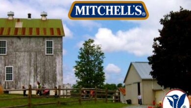 Mitchells Fruit Farm