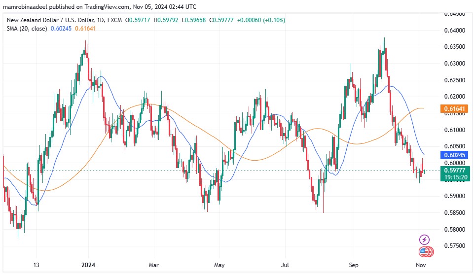 NZDUSD 5TH November 2024