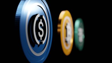 Stable Coin VIRTUAL has surged in recent Days