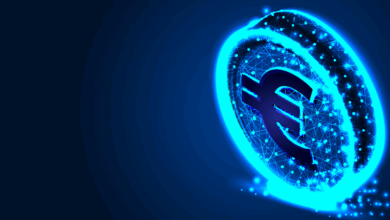 Digital Euro is a solution of New market challenges