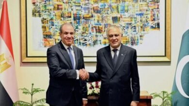 Pakistan and Egypt are ready to boost Business to Business relations