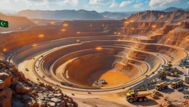 Oil and Gas development continues investing in Reko Diq Project