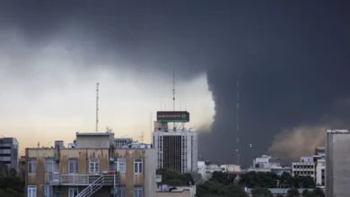 Iran war has shocked the Gulf Security and Global Oil Market