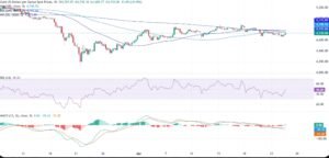 1777272484511 300x144