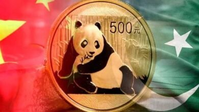 Pakistan has issued Panda Bonds in Chinese Markets