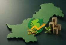 Pakistani Government is trying to boost Foreign Investment