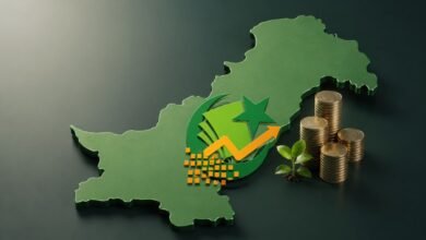 Pakistani Government is trying to boost Foreign Investment